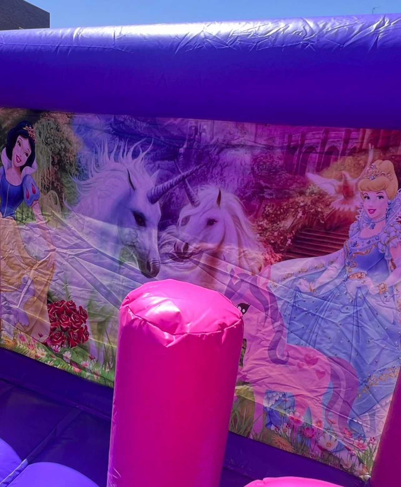 Lona de princesas y unicornios del castillo hinchable doble tobogán – Castillos Hinchables Madrid