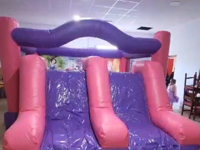 Castillo Hinchable Doble Tobogán Princesas y Unicornios